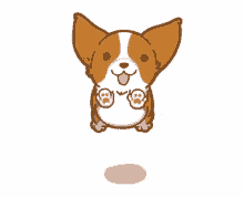 SHAGHAYEGH NAEIMABADI WEB DOG